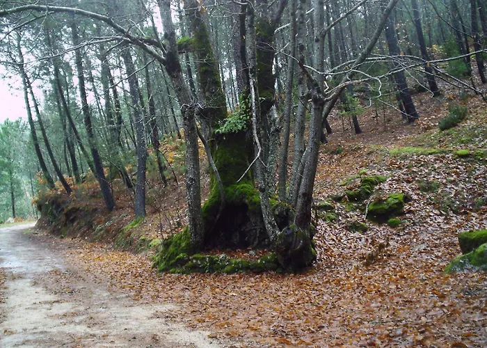 Recanto Da Neta Dom wakacyjny *