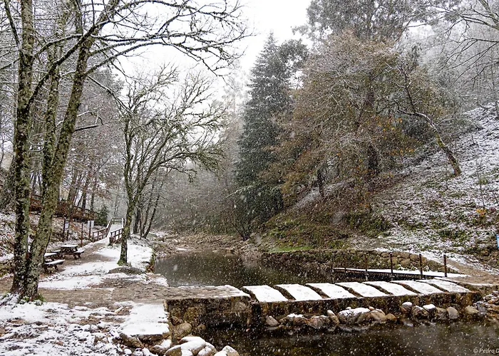 Recanto Da Neta Seia