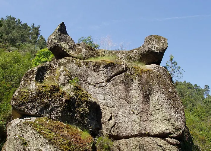 Recanto Da Neta Dom wakacyjny Seia