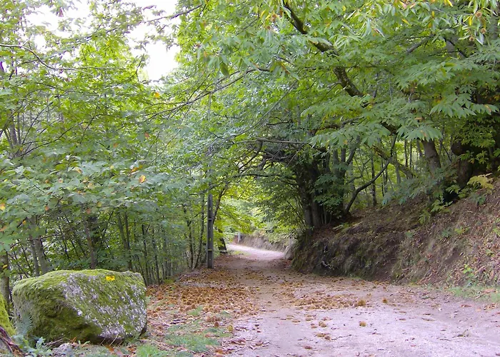 Recanto Da Neta Dom wakacyjny